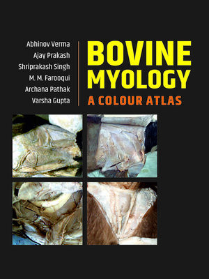 cover image of Bovine Myology